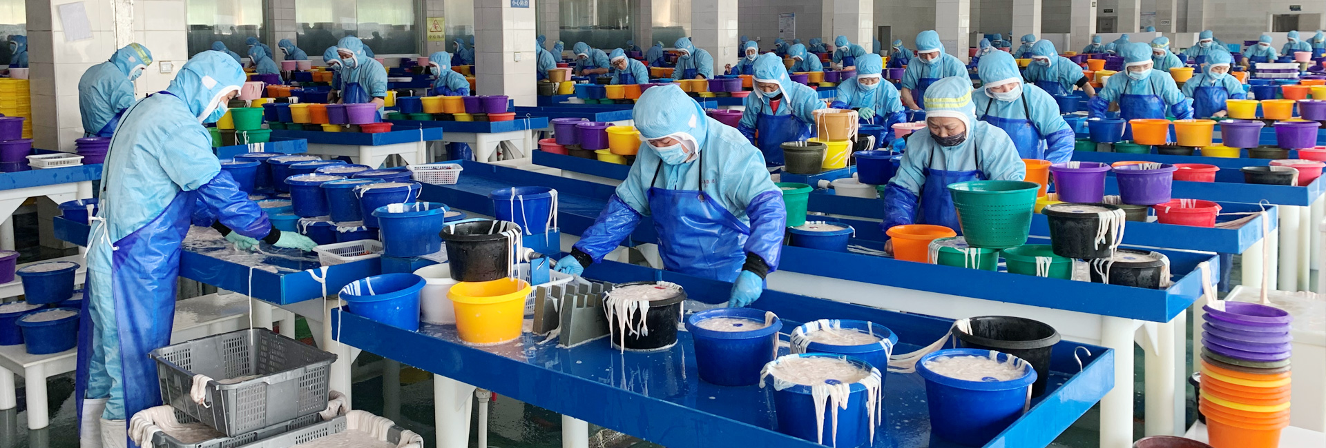 九游会·J9 - 中国官方网站|真人游戏第一品牌