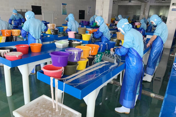 九游会·J9 - 中国官方网站|真人游戏第一品牌